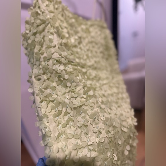 Anthropologie 3D Floral Embellishment Mini Dress - Picture 5 of 5